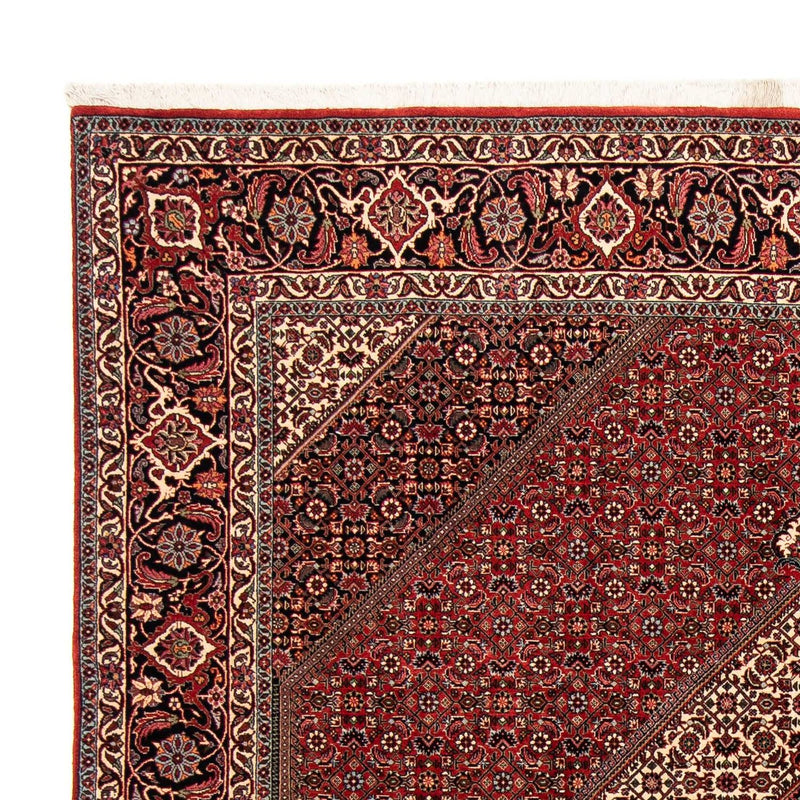Tappeto Persero - Bidjar - 253 x 202 cm - rosso scuro