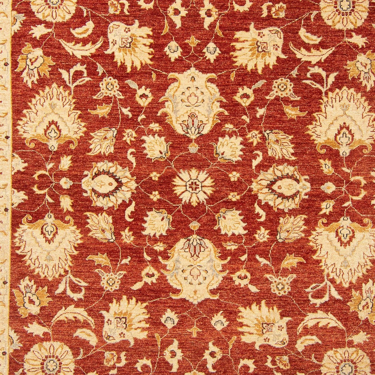 Tappeto Ziegler - 350 x 277 cm - rosso