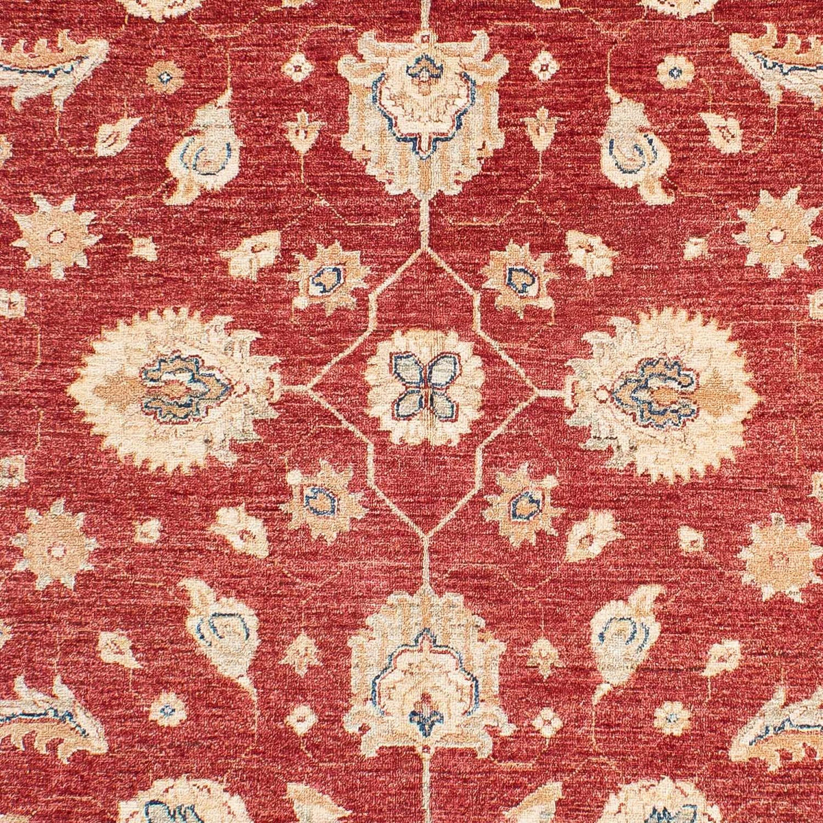 Tappeto Ziegler - 234 x 167 cm - rosso scuro