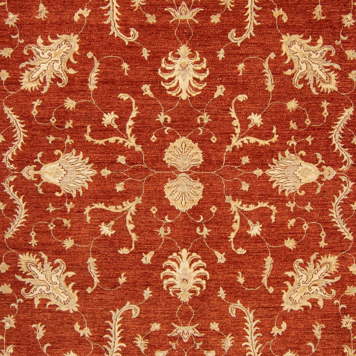 Tappeto Ziegler - 350 x 254 cm - rosso scuro