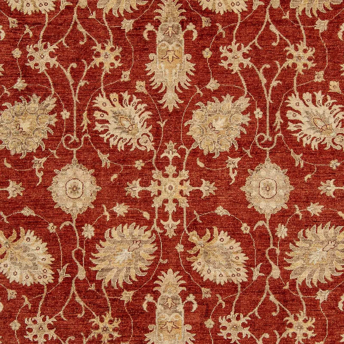 Tappeto Ziegler - 295 x 249 cm - rosso scuro