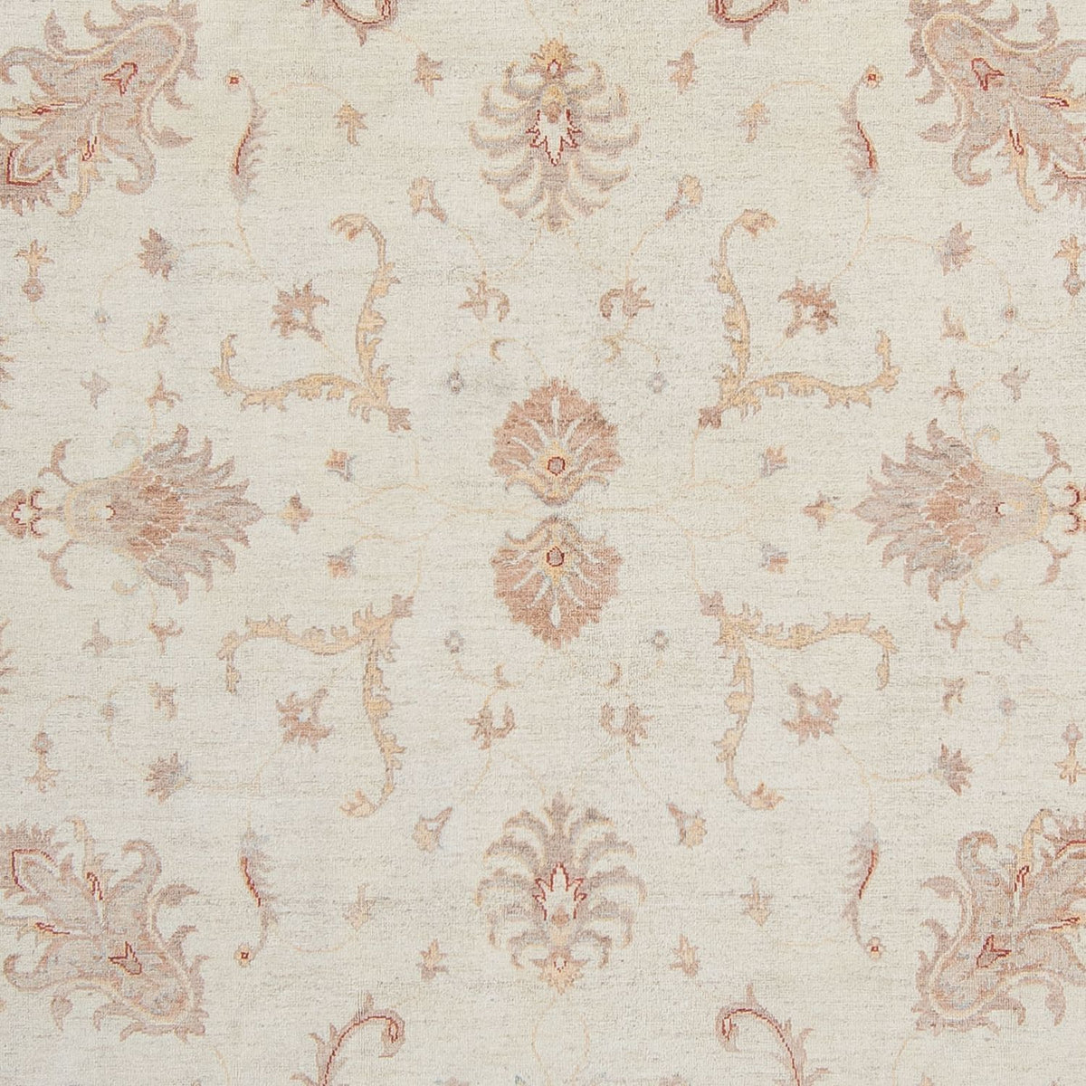 Tappeto Ziegler - 358 x 248 cm - beige