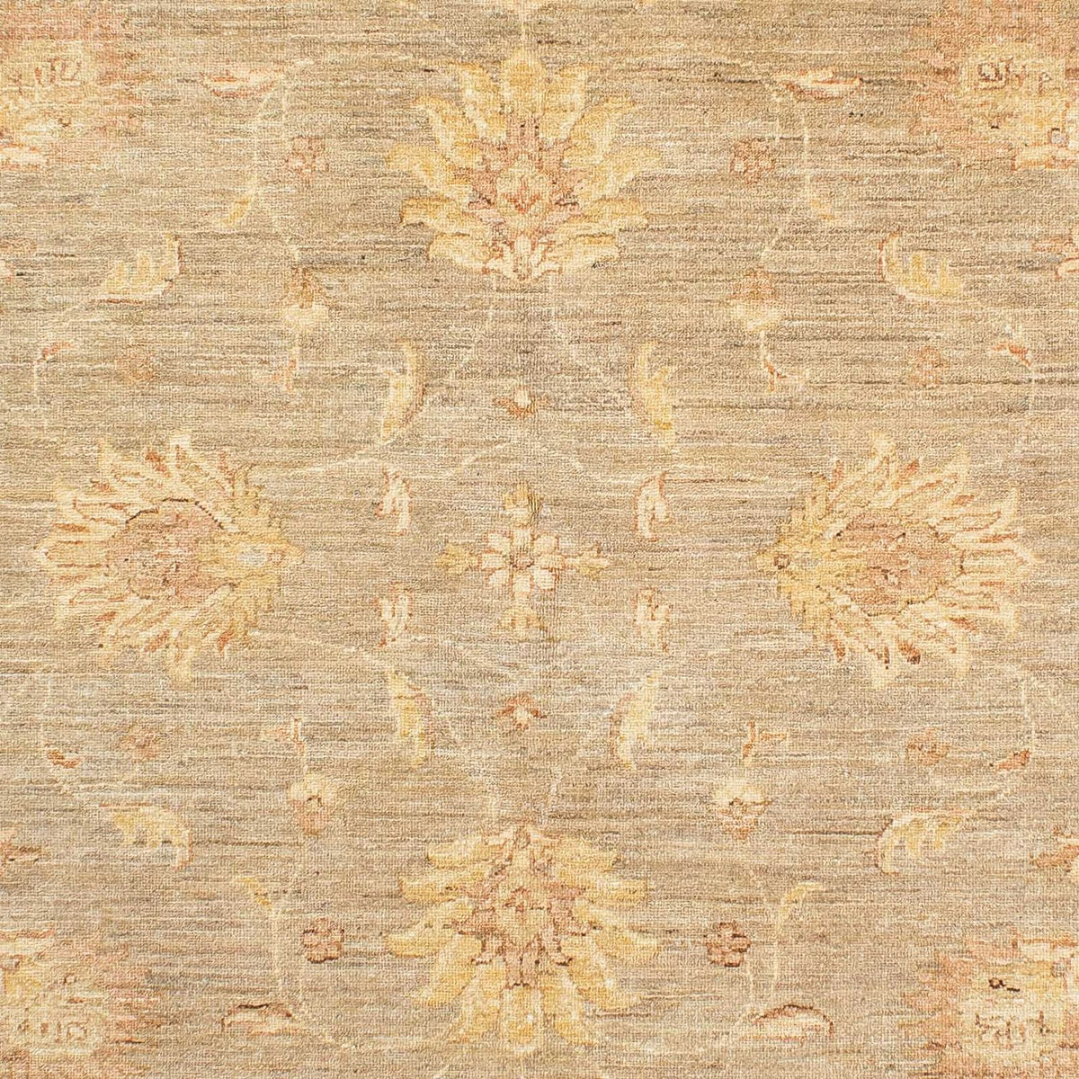 Tappeto Ziegler - 241 x 175 cm - beige
