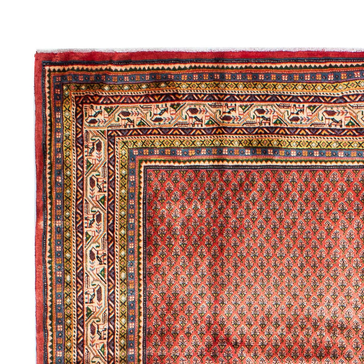 Tappeto Persero - Mir - 310 x 215 cm - rosso scuro