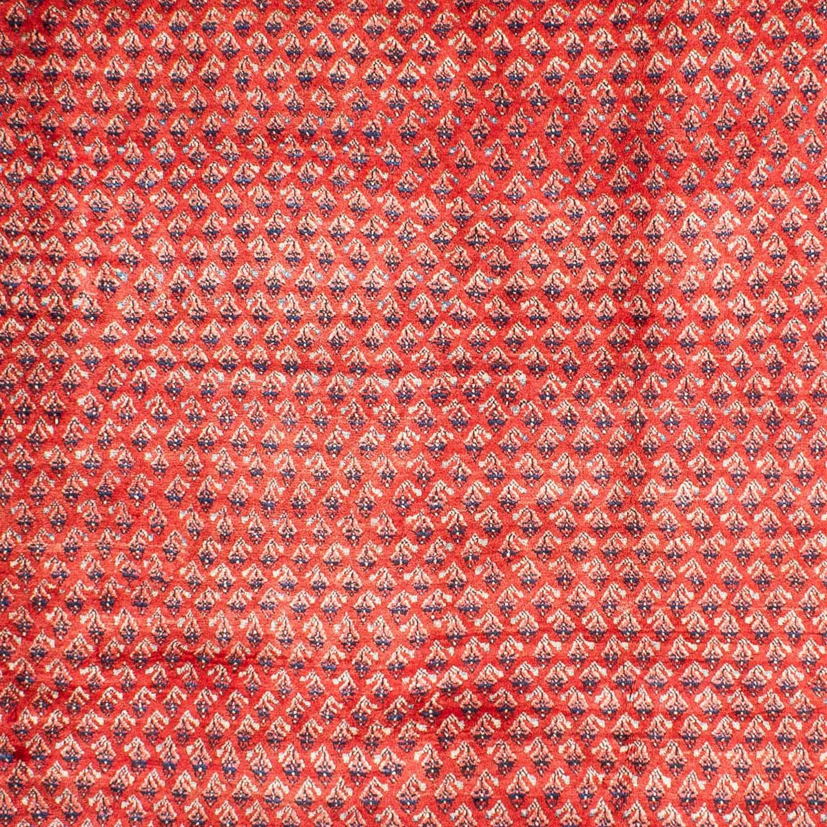 Tappeto Persero - Mir - 316 x 220 cm - rosso