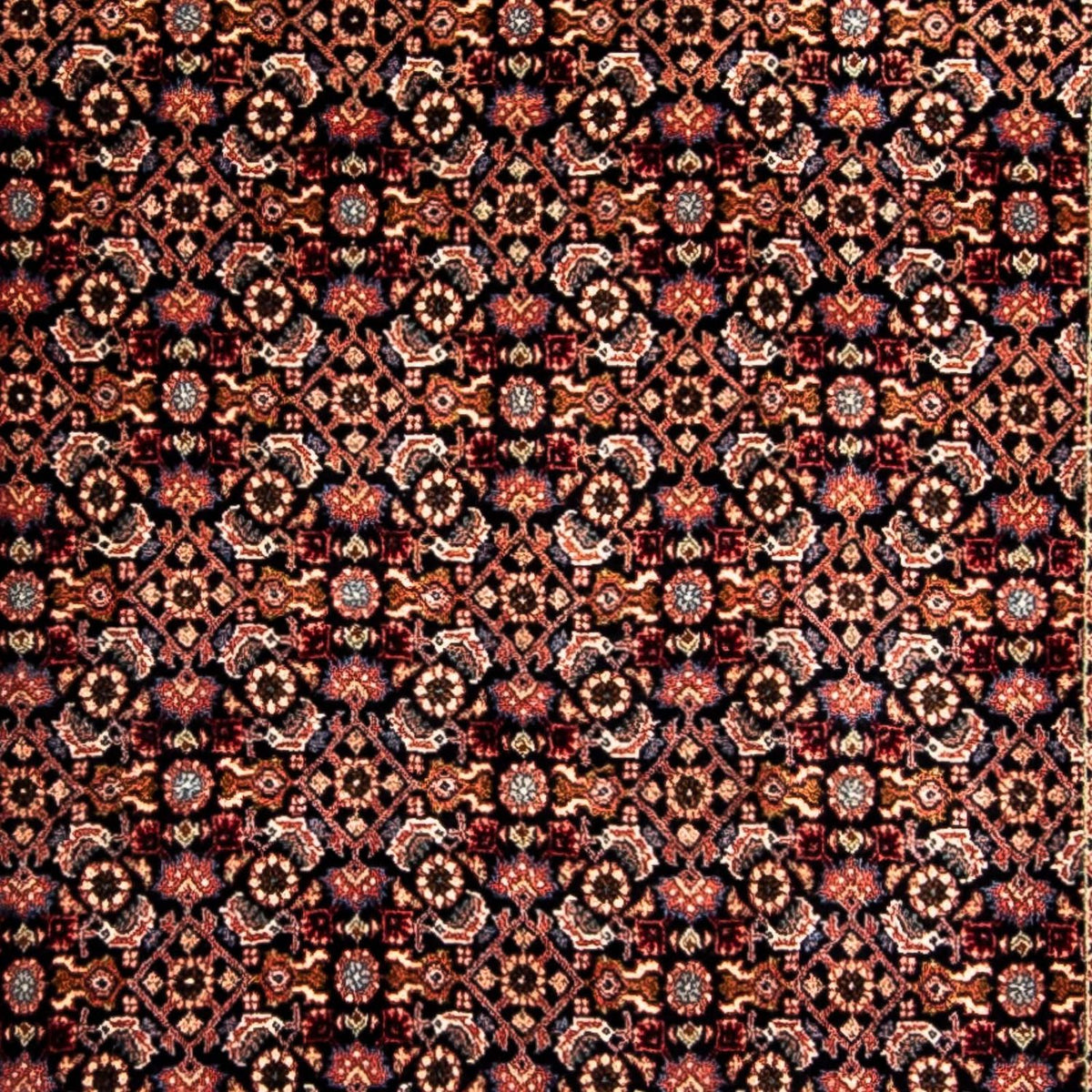 Tappeto corsia Tappeto Persero - Bidjar - 296 x 94 cm - marrone