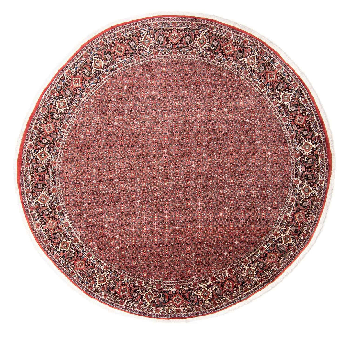 Tappeto Persero - Bidjar rotondo  - 300 x 300 cm - rosso