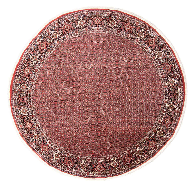 Tappeto Persero - Bidjar rotondo  - 300 x 300 cm - rosso