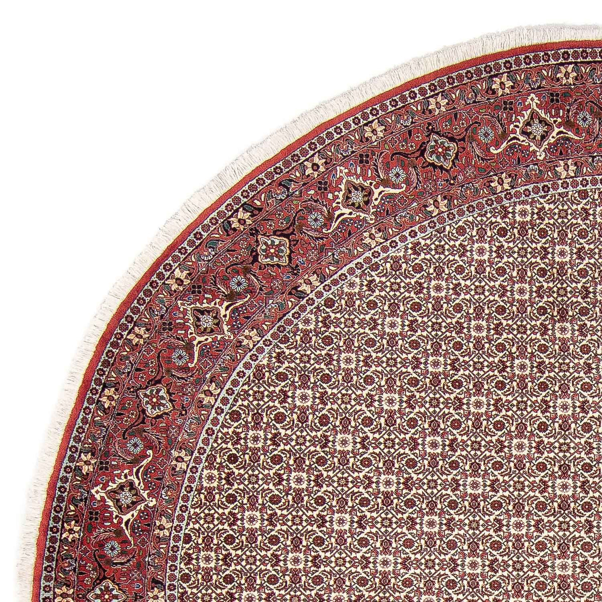 Tappeto Persero - Bidjar rotondo  - 305 x 305 cm - rosso