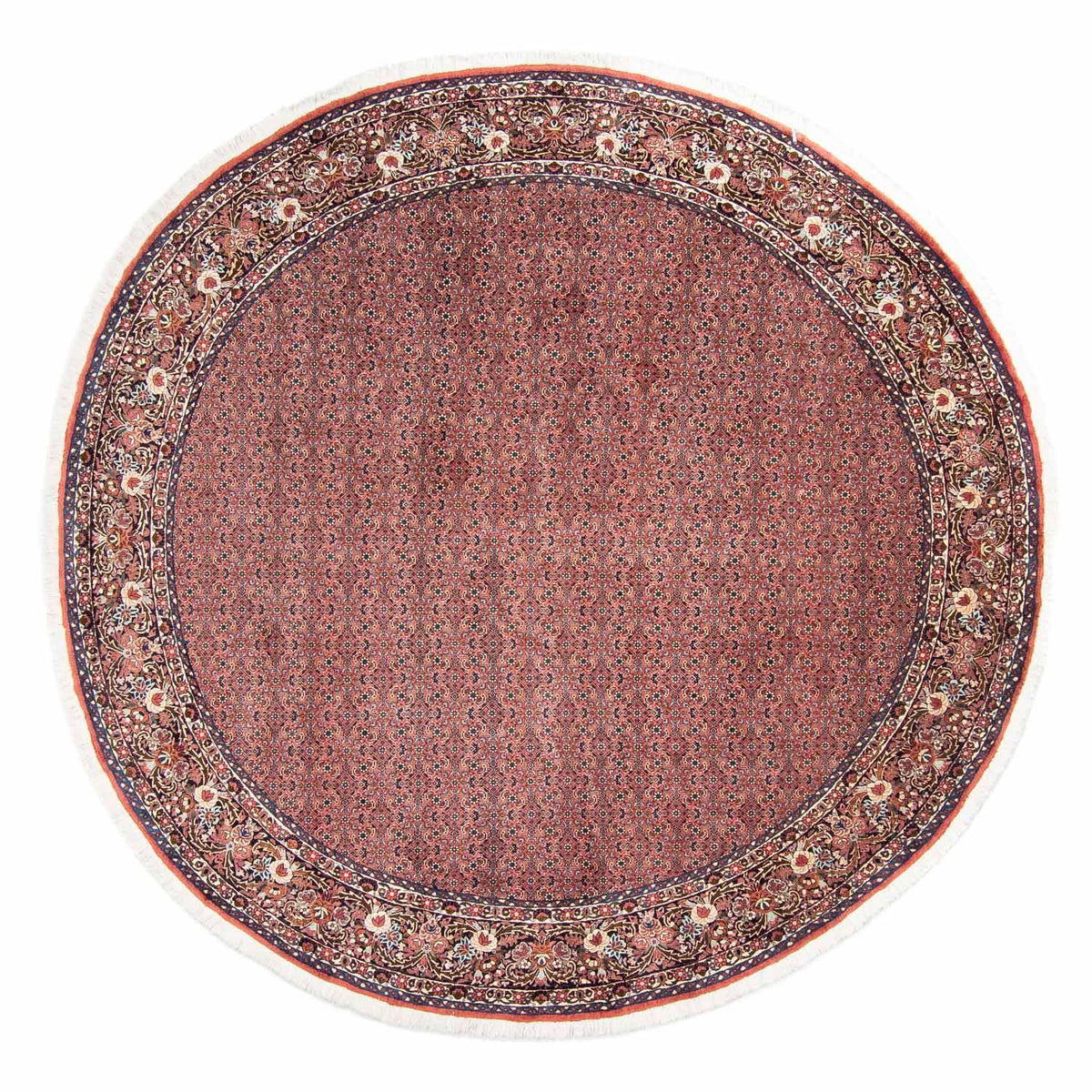 Tappeto Persero - Bidjar rotondo  - 300 x 300 cm - rosso chiaro