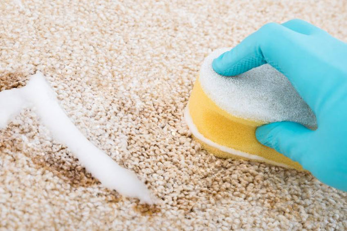 Flecken mit rasierschaum vom teppich entfernen