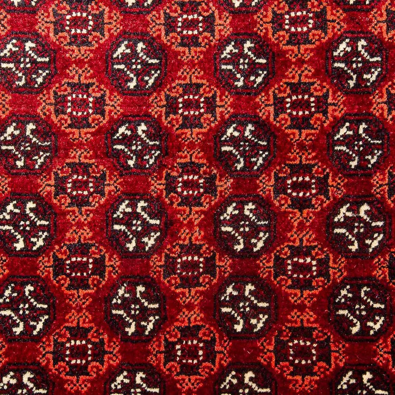 Tappeto afgano - Bukhara - 293 x 201 cm - rosso