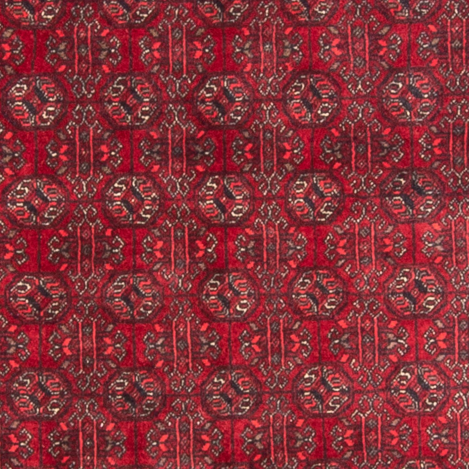 Tappeto afgano - Bukhara - 196 x 124 cm - rosso