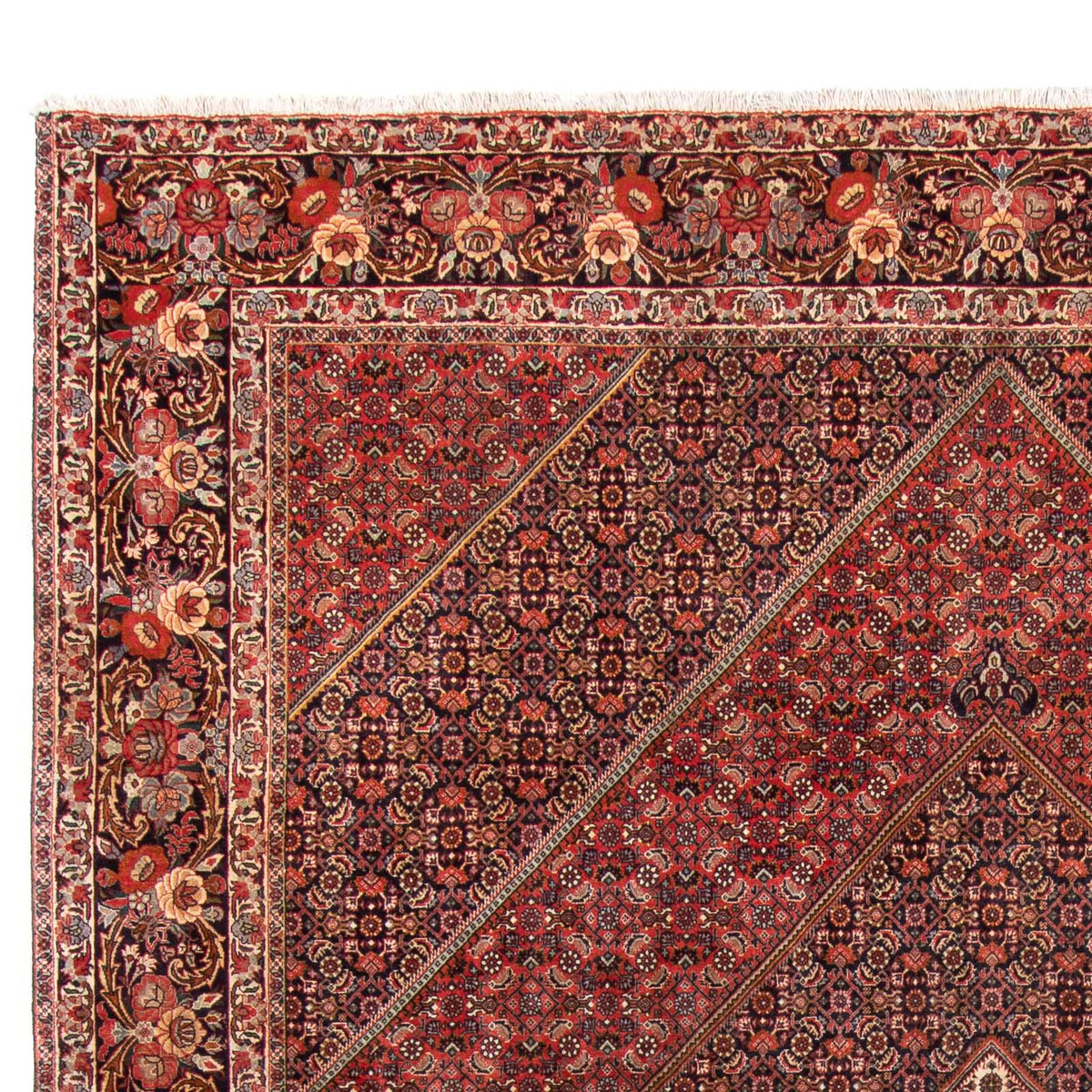 Bidjar Tappeto 250x350cm - Tappeto persiano