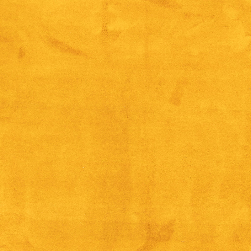 Tappeto Gabbeh - Indus - 389 x 300 cm - oro