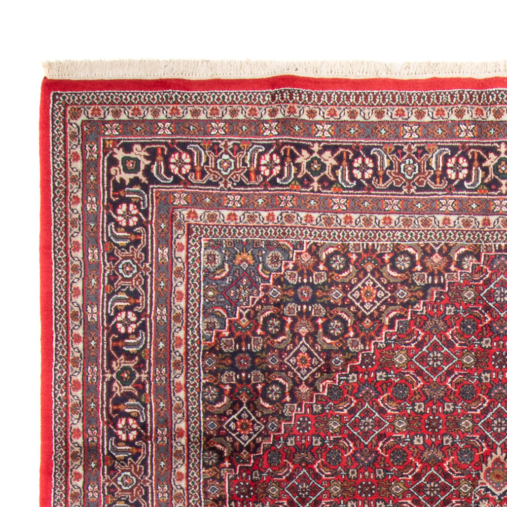 Bidjar Indo Tappeto 251x338cm - Tappeto orientale