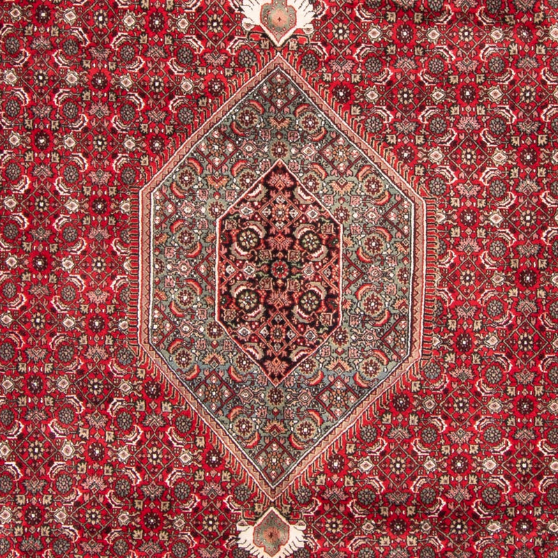 Tappeto orientale - Bidjar - Indo - 361 x 255 cm - rosso