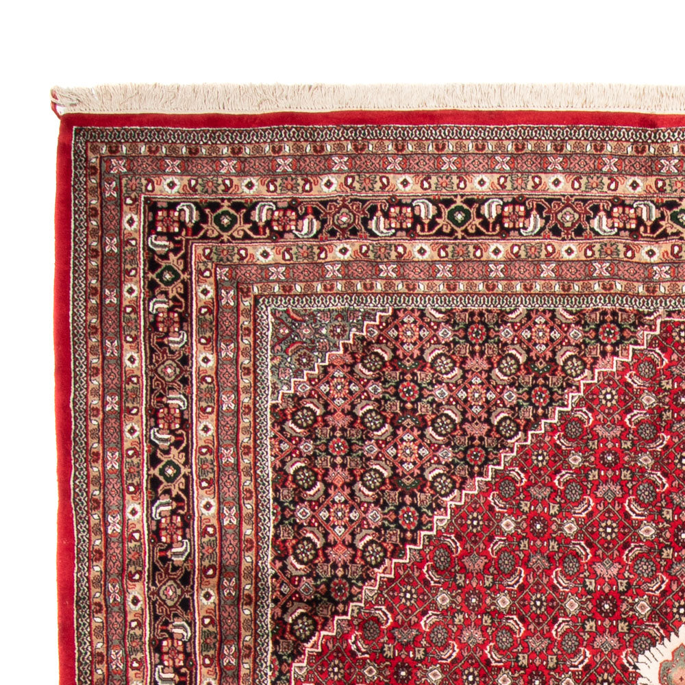 Bidjar Indo Tappeto 255x361cm - Tappeto orientale