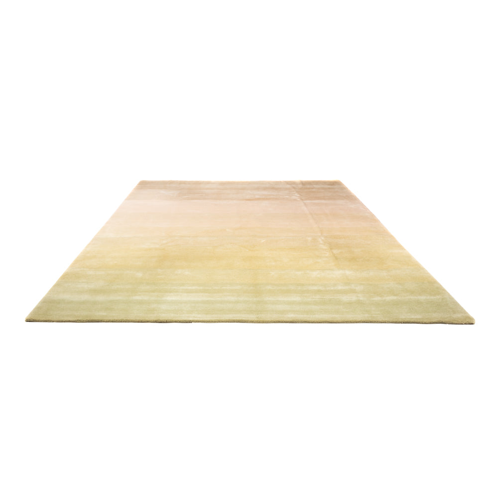 Tappeto Nepal - Reale - 345 x 252 cm - multicolore