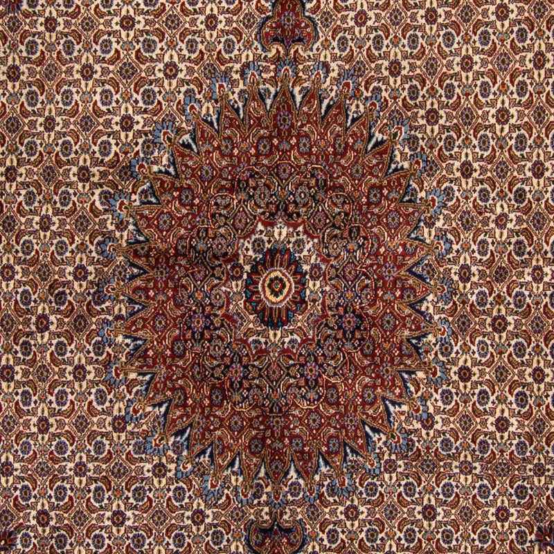 Tappeto Persero - Classico - Reale quadrato  - 265 x 242 cm - beige