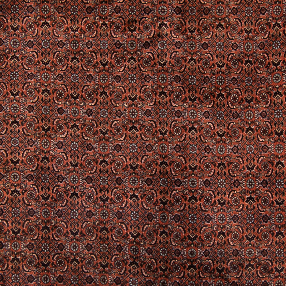 Tappeto Persero - Bidjar - Reale - 296 x 210 cm - marrone