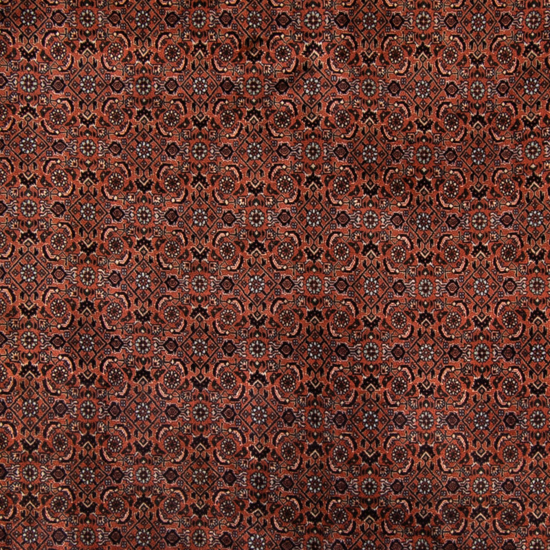 Tappeto Persero - Bidjar - Reale - 296 x 210 cm - marrone