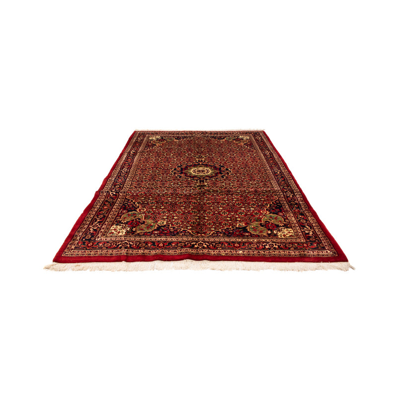 Tappeto orientale - Bidjar - Indo - Reale - 308 x 198 cm - rosso