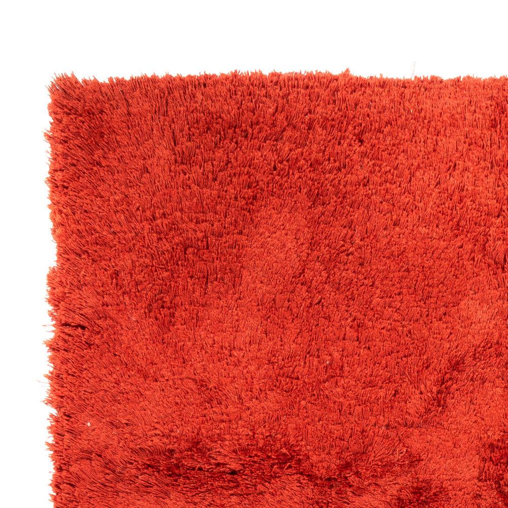 Shaggy Tappeto 160x230cm - Shaggy Teppich