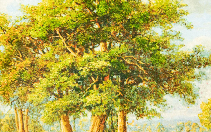 Arazzo - 116 x 84 cm - multicolore