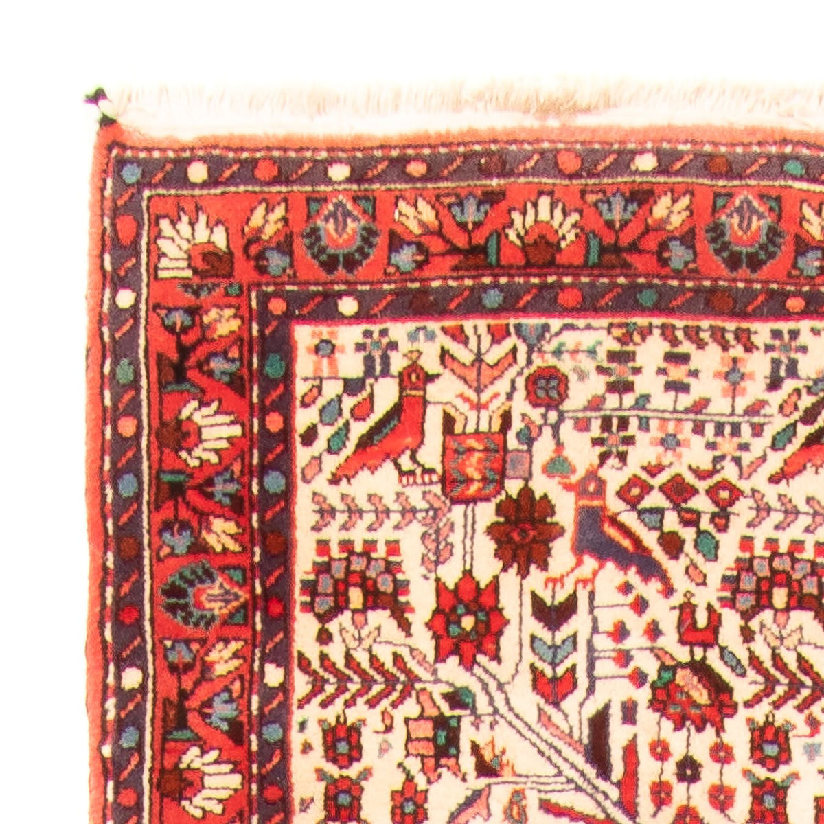 Rudbar Tappeto 169x301cm - Tappeto persiano
