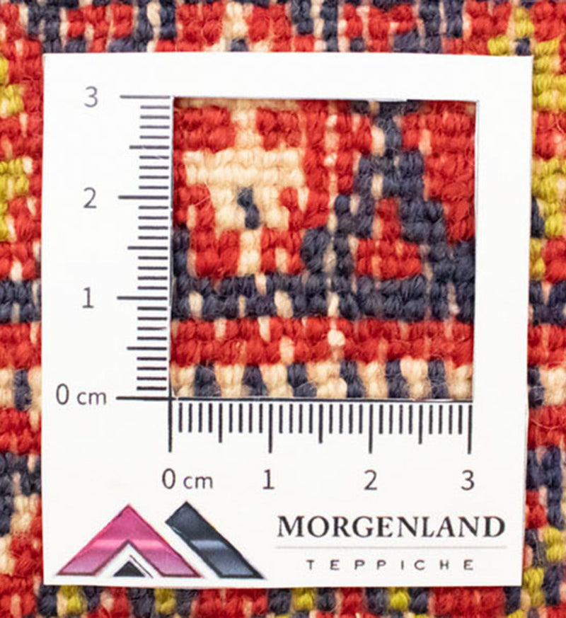 Tappeto corsia Tappeto Turkaman - 100 x 50 cm - rosso