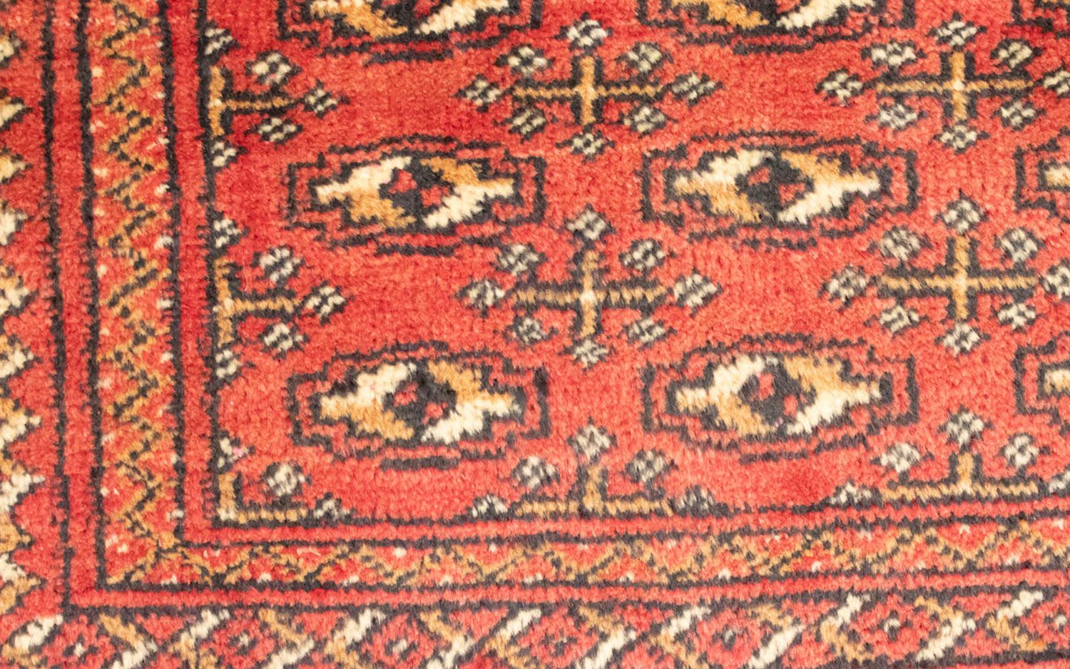 Tappeto corsia Tappeto Turkaman - 100 x 50 cm - rosso