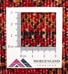Tappeto corsia Tappeto Turkaman - 100 x 50 cm - rosso
