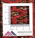 Tappeto corsia Tappeto Turkaman - 100 x 50 cm - rosso