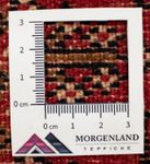 Tappeto corsia Tappeto Turkaman - 100 x 50 cm - rosso