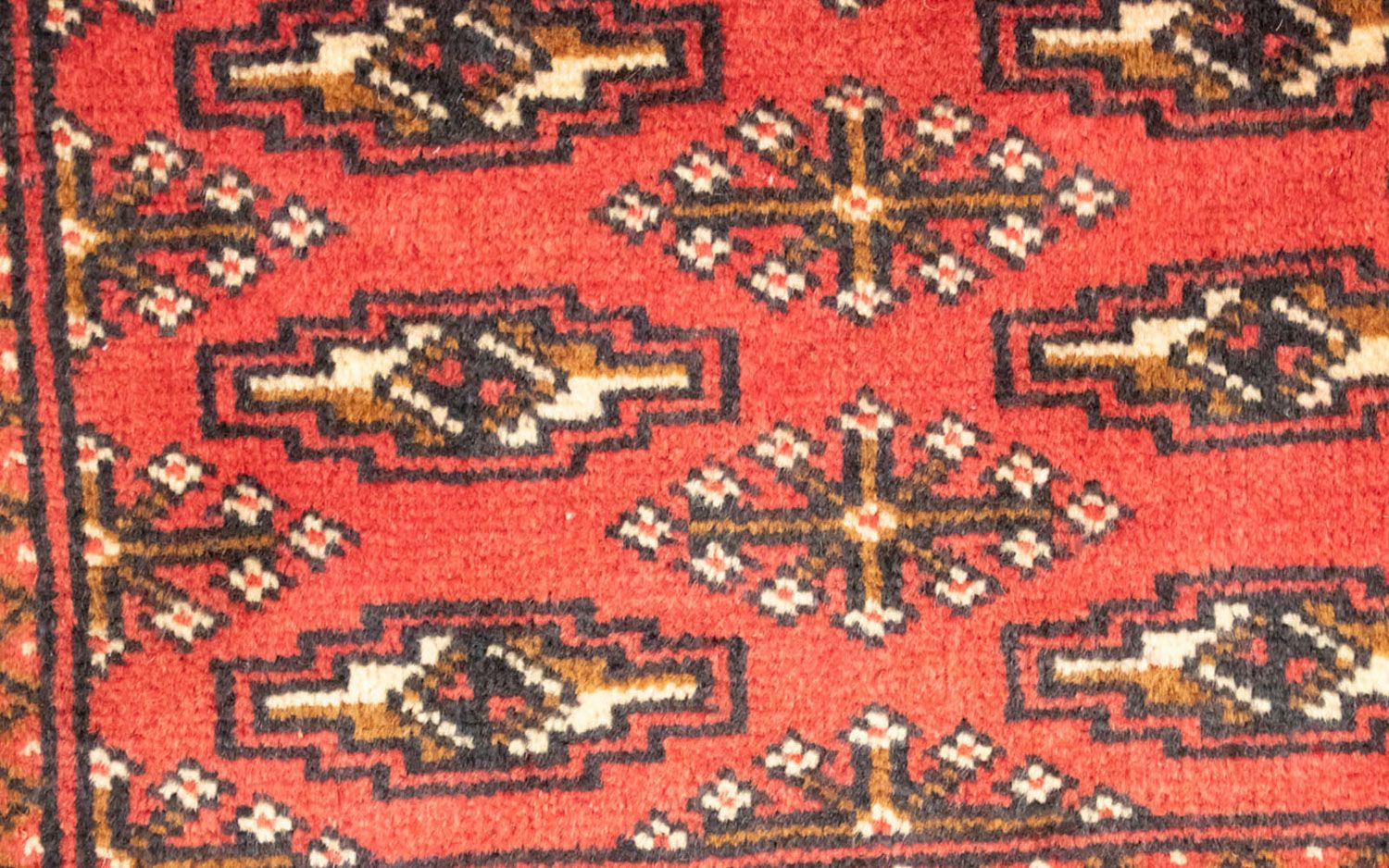 Tappeto corsia Tappeto Turkaman - 100 x 50 cm - rosso