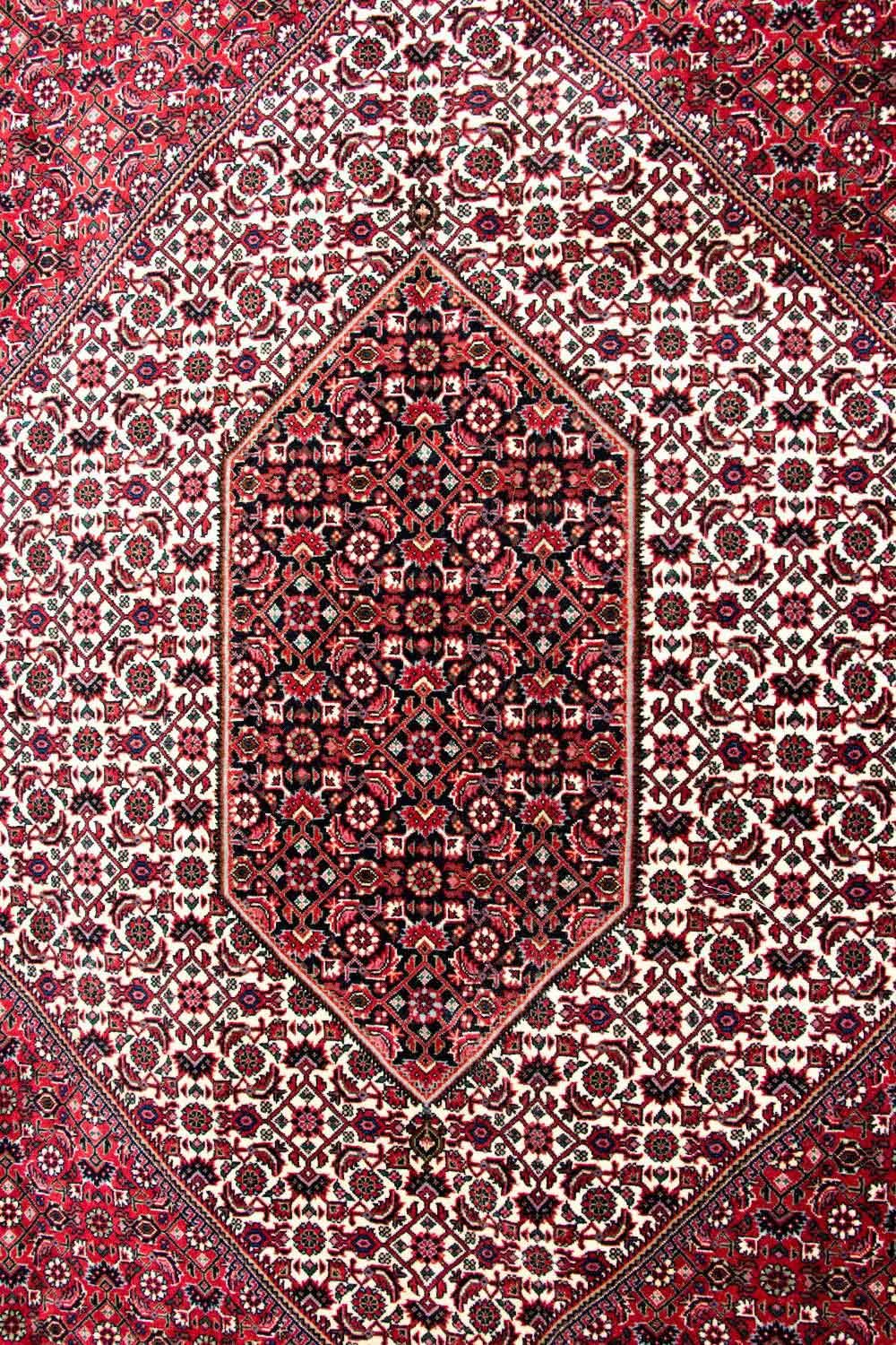 Tappeto Persero - Bidjar - 310 x 250 cm - beige