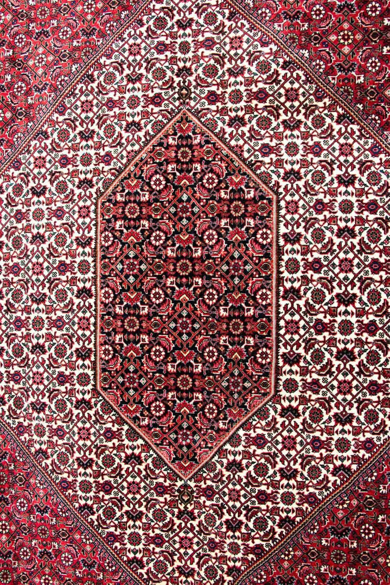 Tappeto Persero - Bidjar - 310 x 250 cm - beige