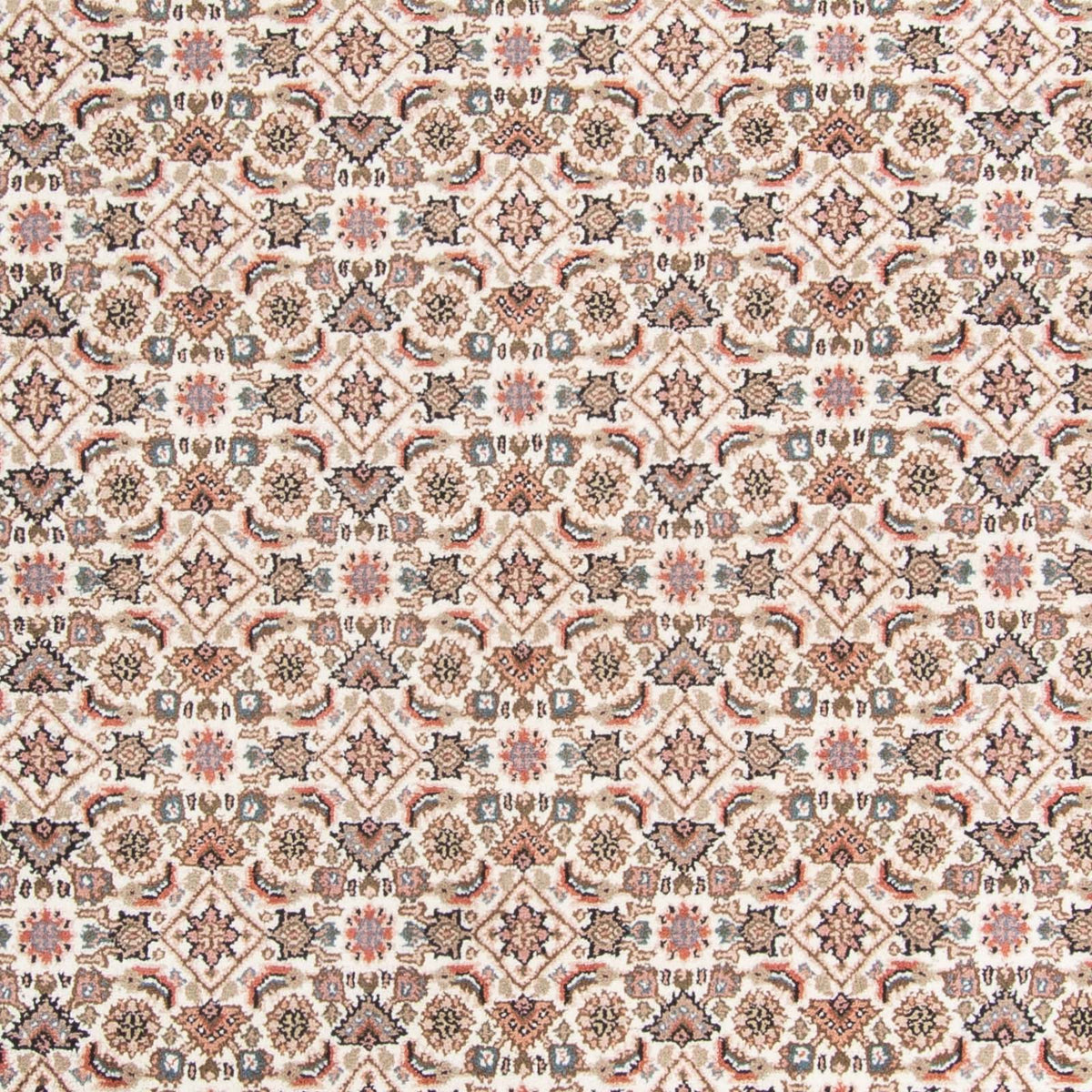 Tappeto orientale - Bidjar - Indo - 355 x 249 cm - beige