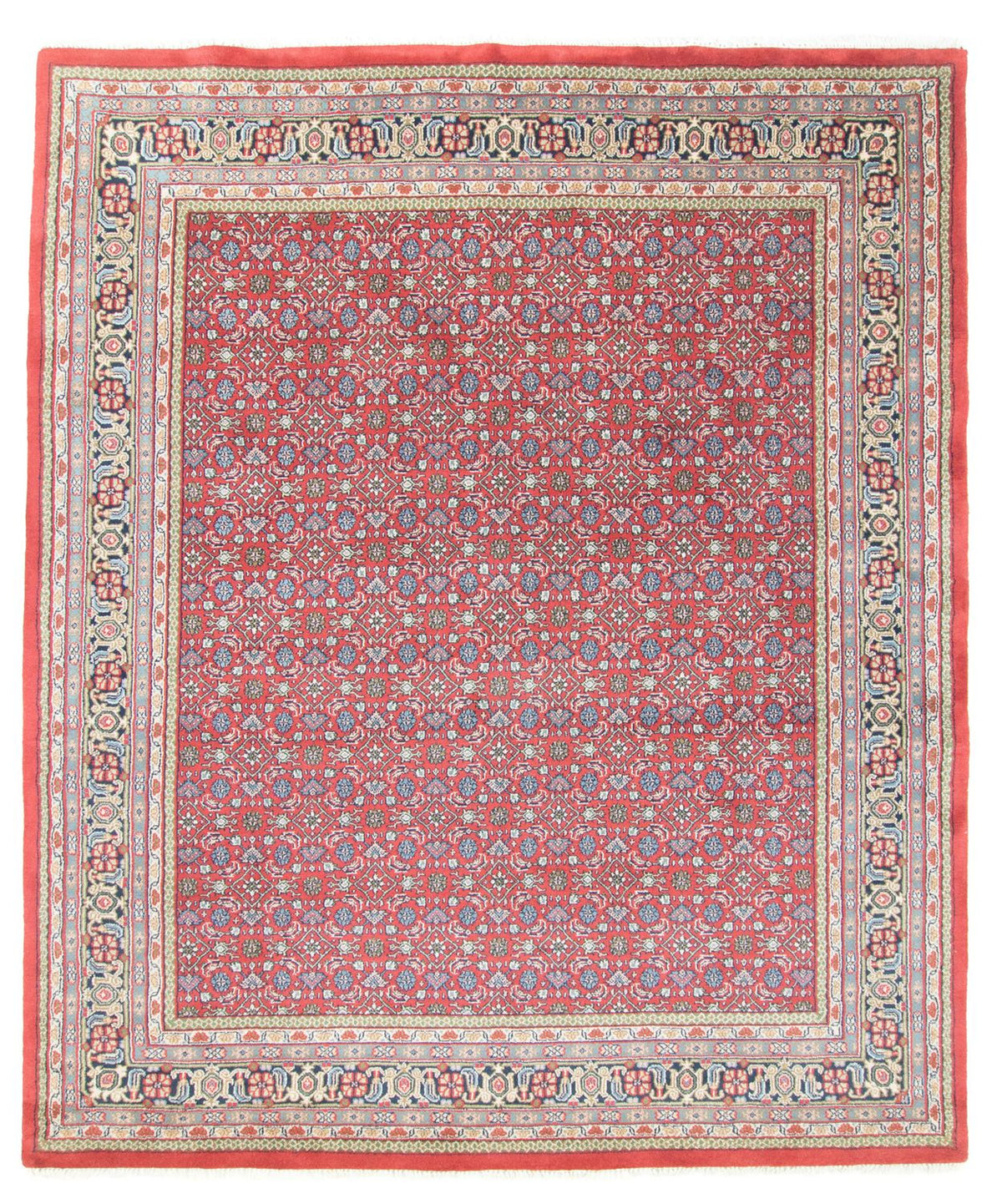 Tappeto orientale - Bidjar - Indo - 305 x 255 cm - rosso