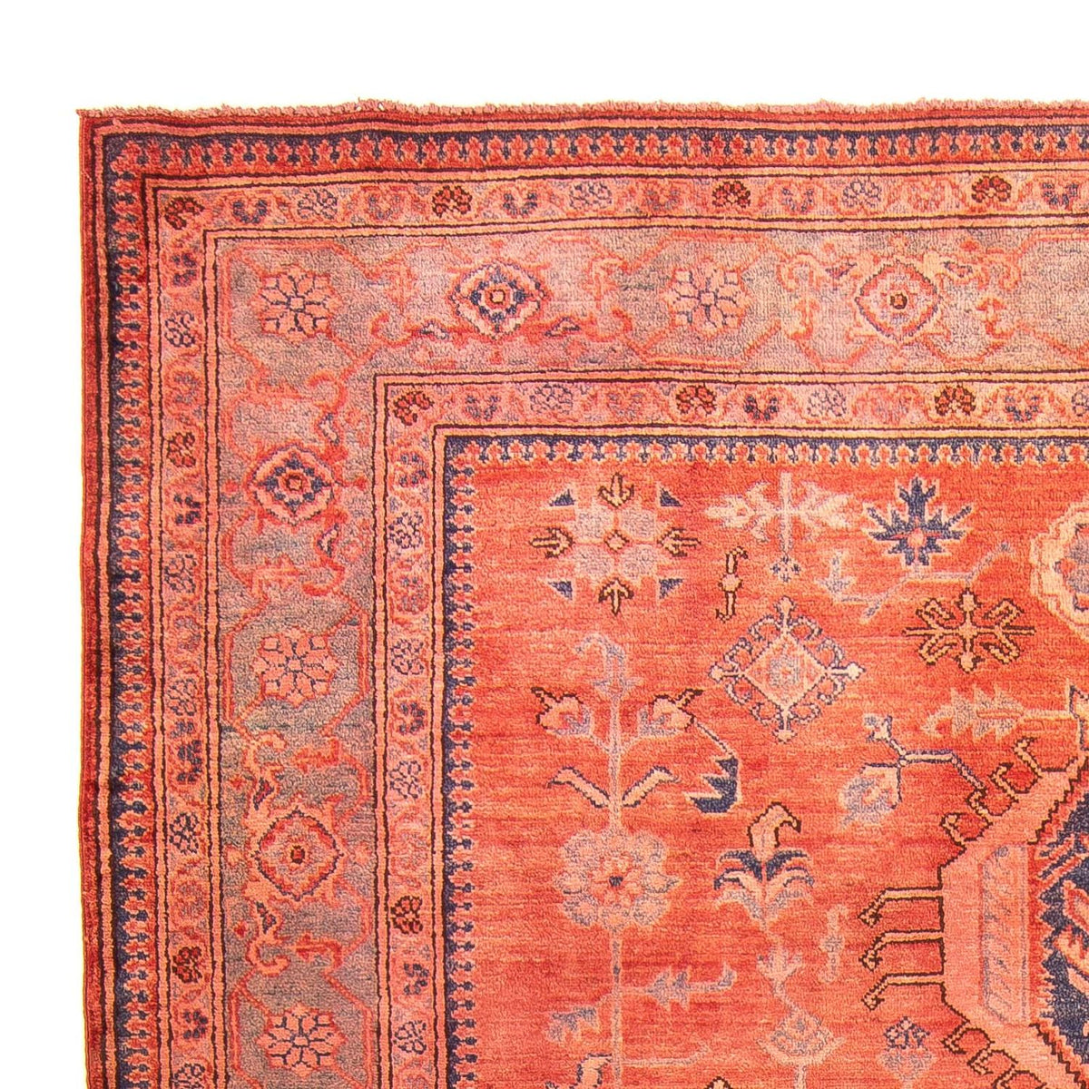 Kazak Tappeto 183x244cm - Tappeto orientale