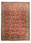 Tappeto afgano - Hatschlu - 285 x 208 cm - ruggine