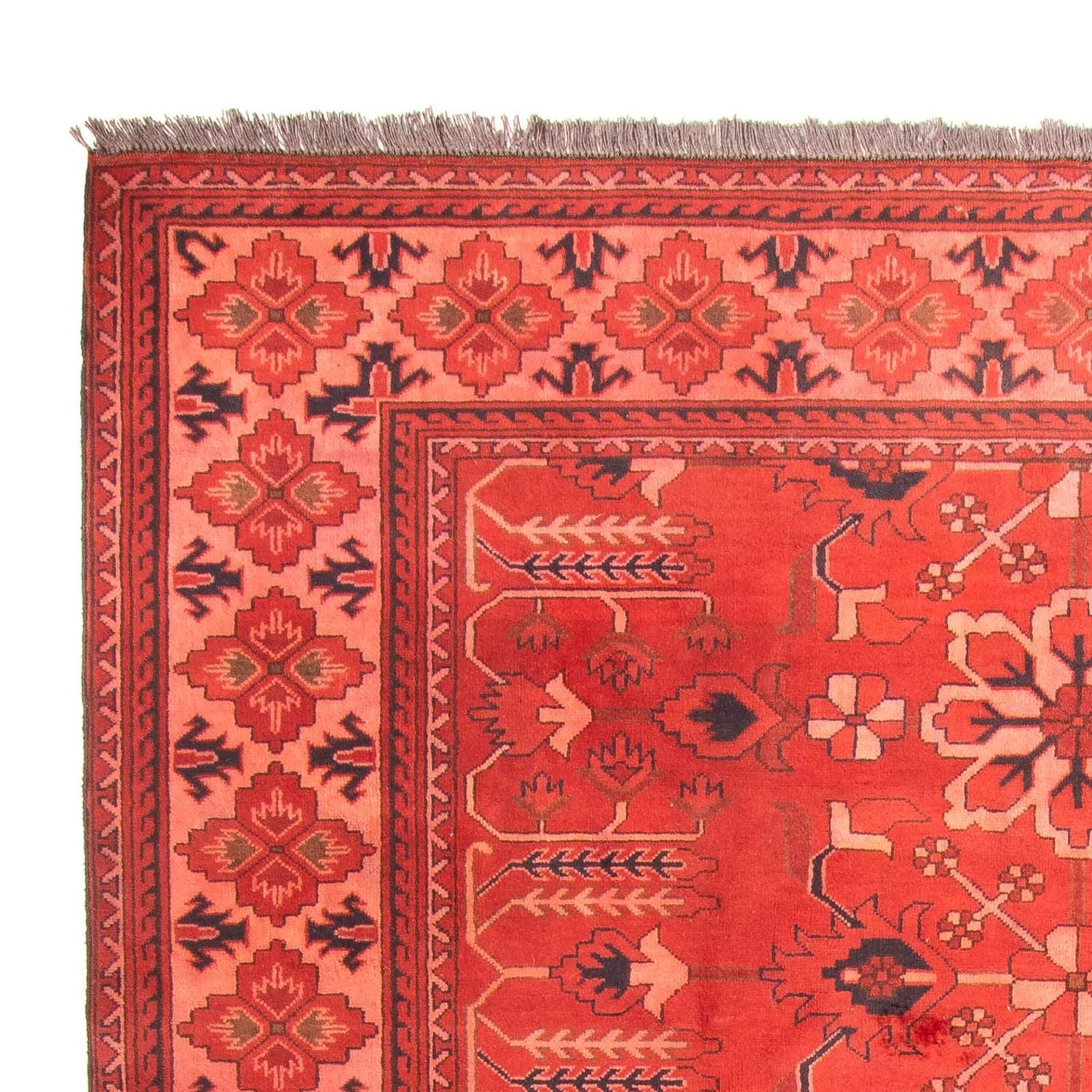 Tappeto afgano - Hatschlu - 296 x 210 cm - rosso scuro