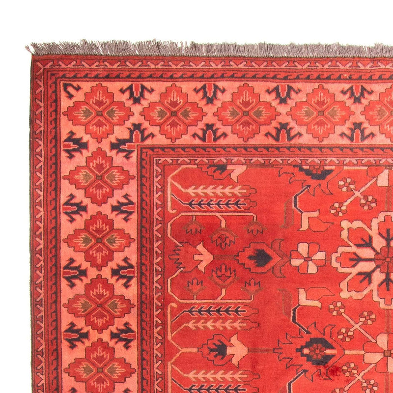 Tappeto afgano - Hatschlu - 296 x 210 cm - rosso scuro