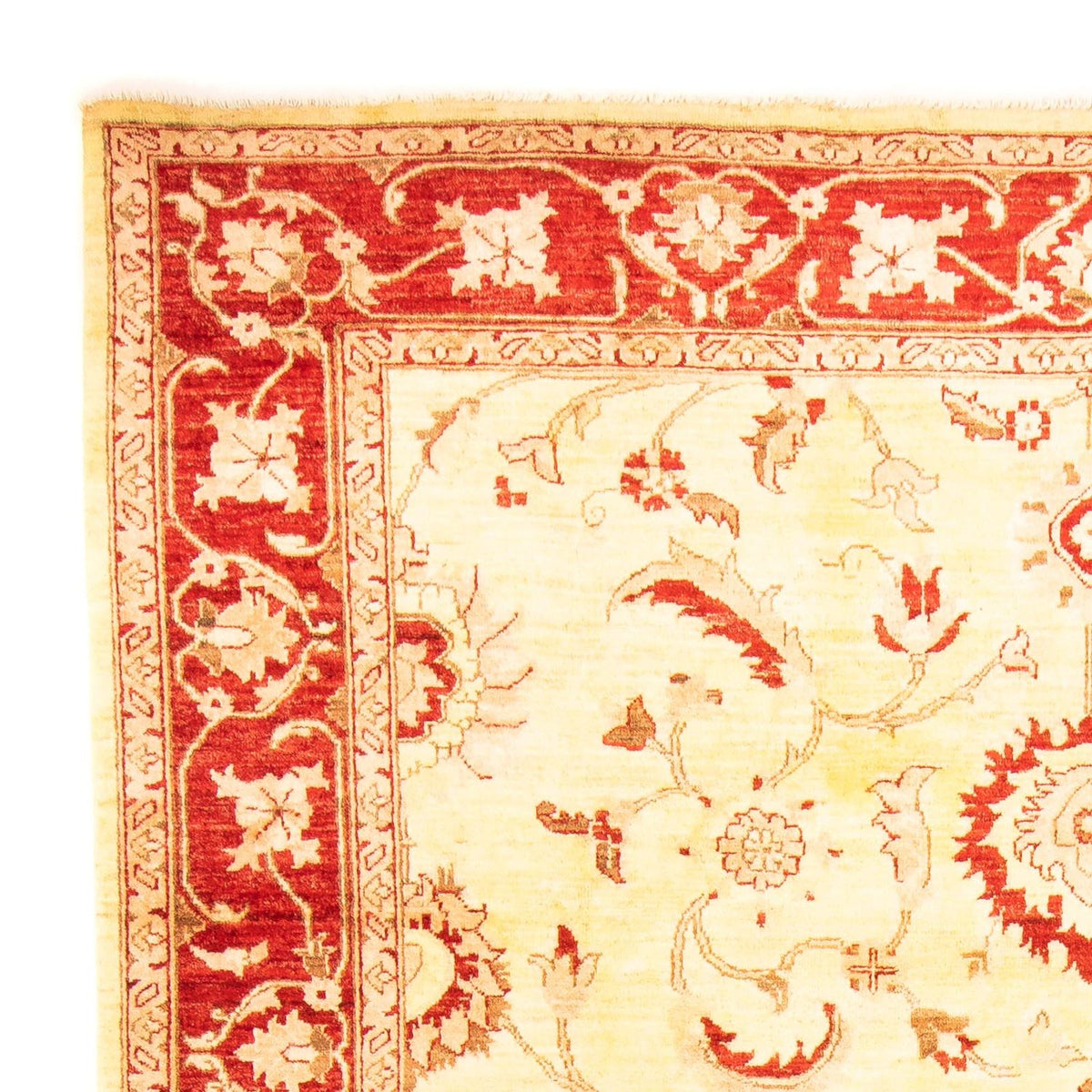 Tappeto Ziegler 207x286cm - Tappeto orientale