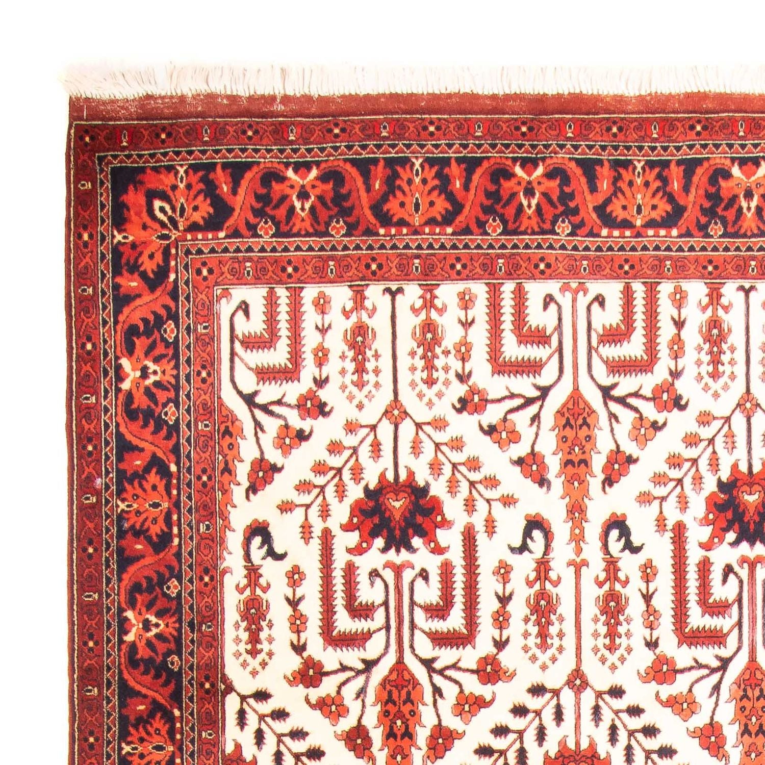 Tappeto afgano - 270 x 186 cm - beige