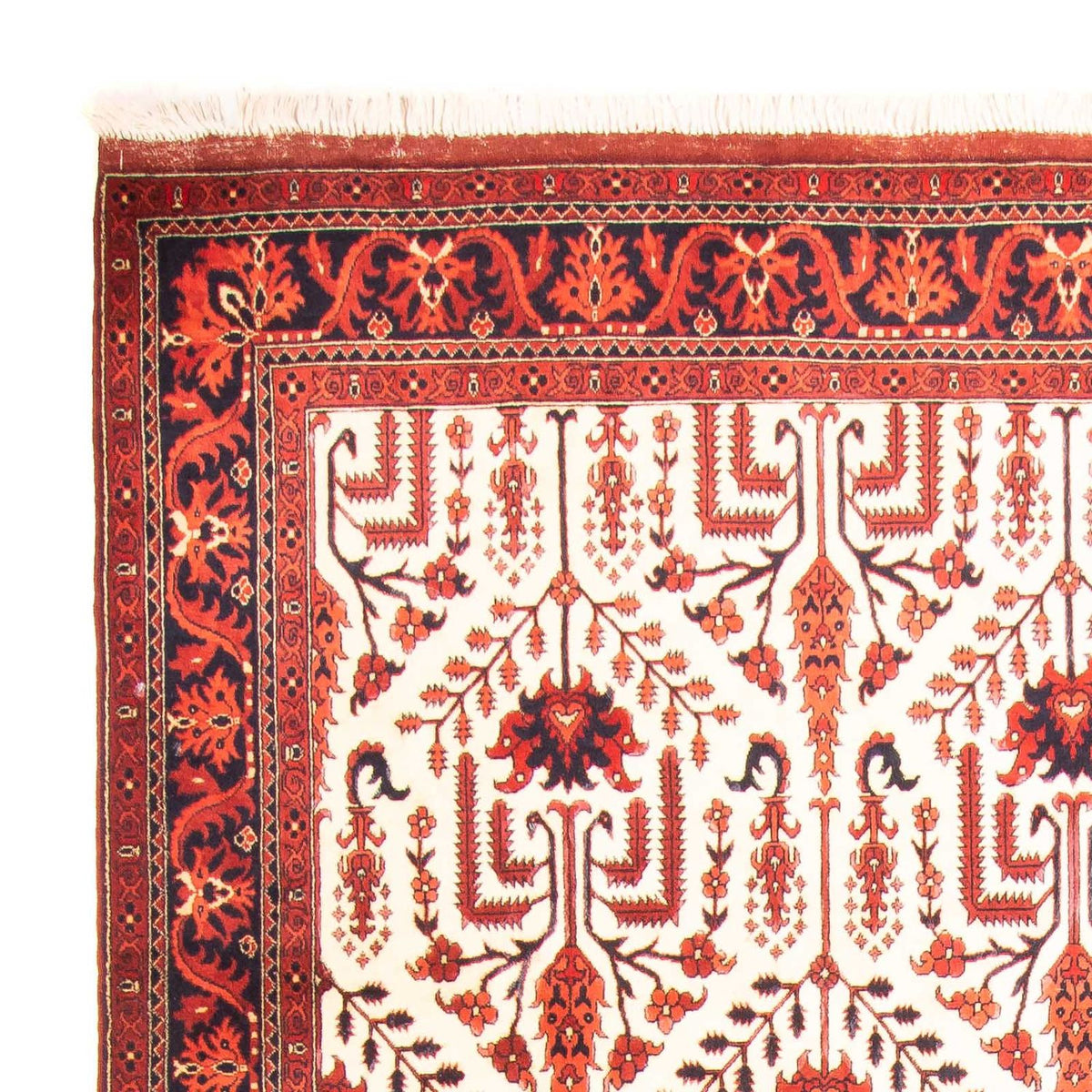 Tappeto afgano - 270 x 186 cm - beige