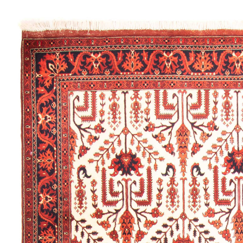 Tappeto afgano - 270 x 186 cm - beige