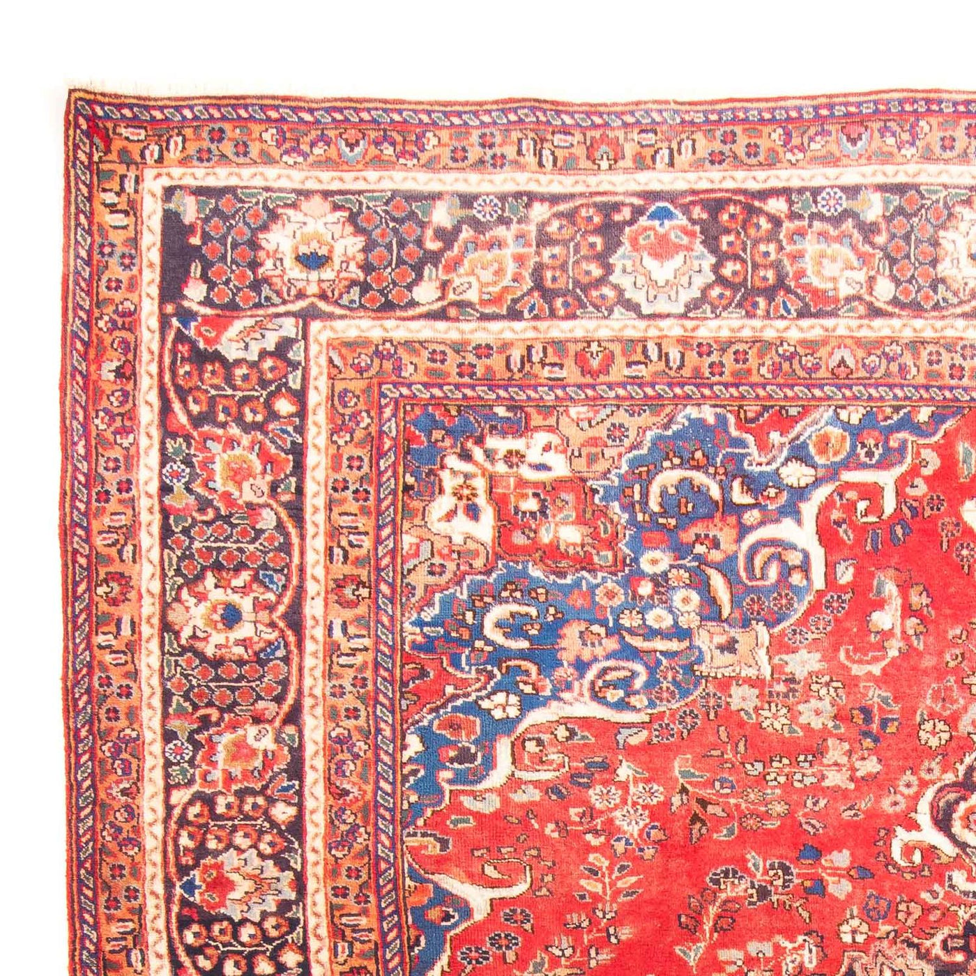Mashhad Tappeto 300x247cm - Tappeto persiano