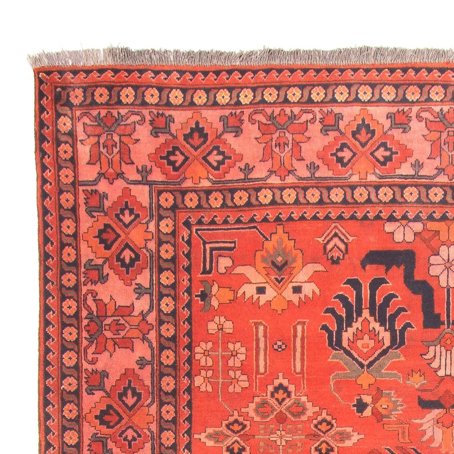 Tappeto afgano - Hatschlu - 280 x 200 cm - rosso chiaro